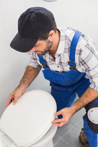 Toilet Installation Experts in Crozet